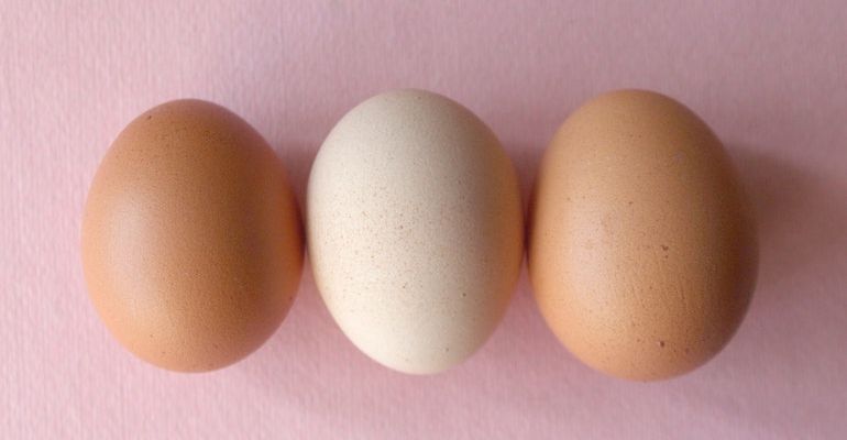 Higher egg intake linked to lower stroke risk in Asia, but not North America and Europe