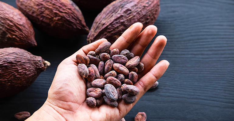 The Cocoa Barometer report shows few improvements in cocoa industry