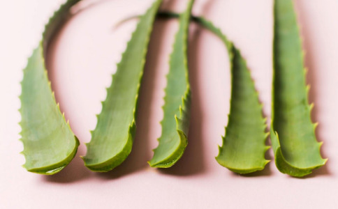 Transform Your Hair Care Routine with Aloe Vera Extract